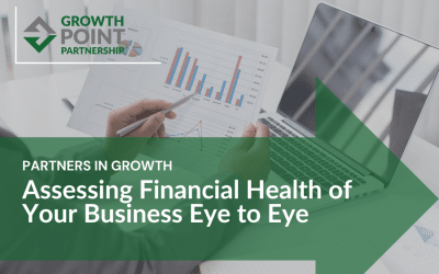 Assessing Financial Health of Your Business Eye to Eye